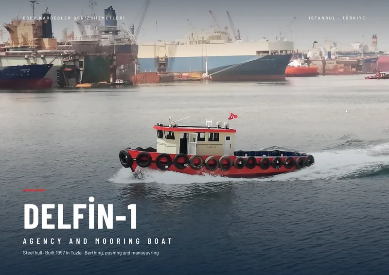 Delfin-1 brochure, page 1