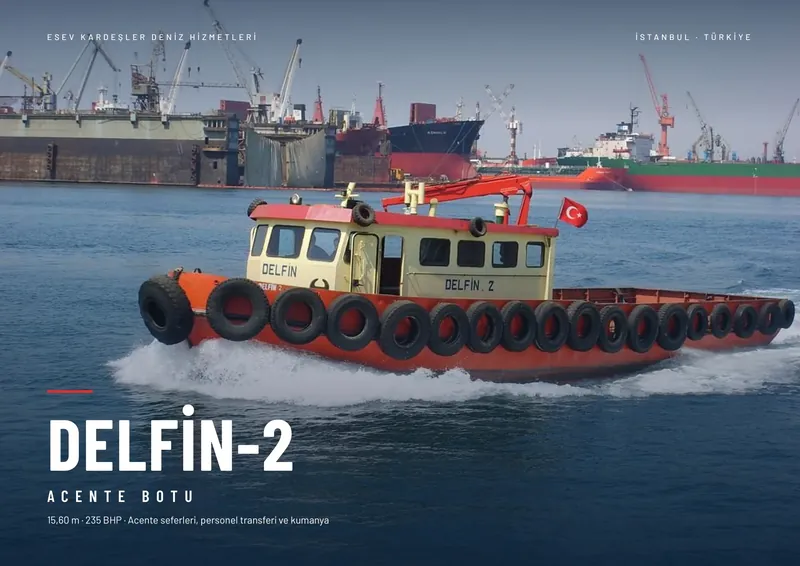 Delfin-2 broşürü, sayfa 1