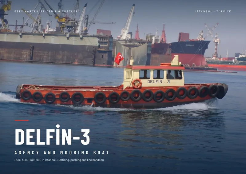 Delfin-3 brochure, page 1