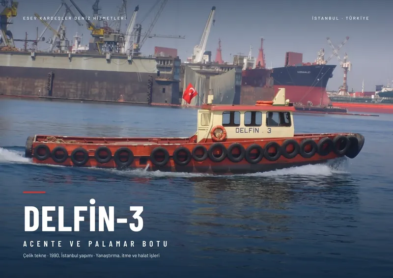 Delfin-3 broşürü, sayfa 1