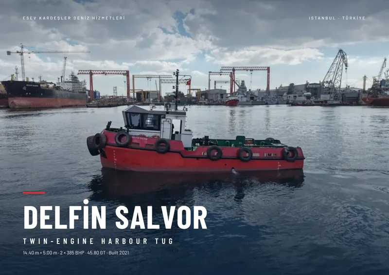 Delfin Salvor brochure, page 1