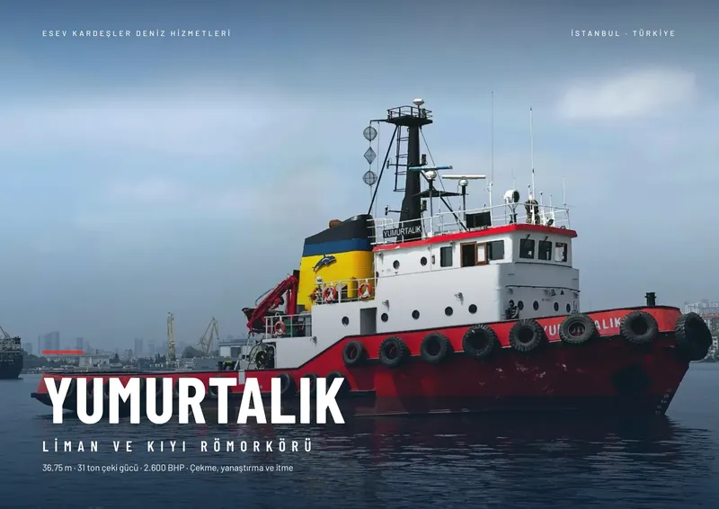 Yumurtalık broşürü, sayfa 1