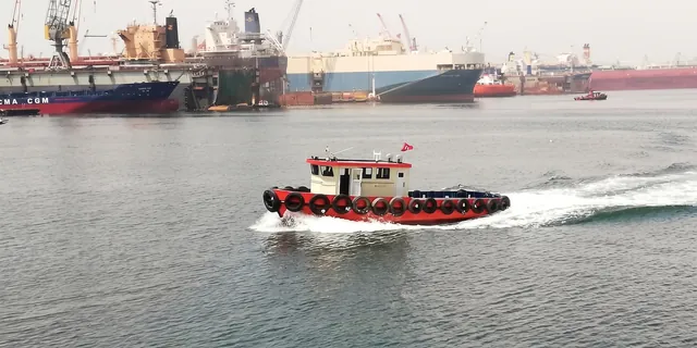 Delfin-1, Acente ve palamar botu