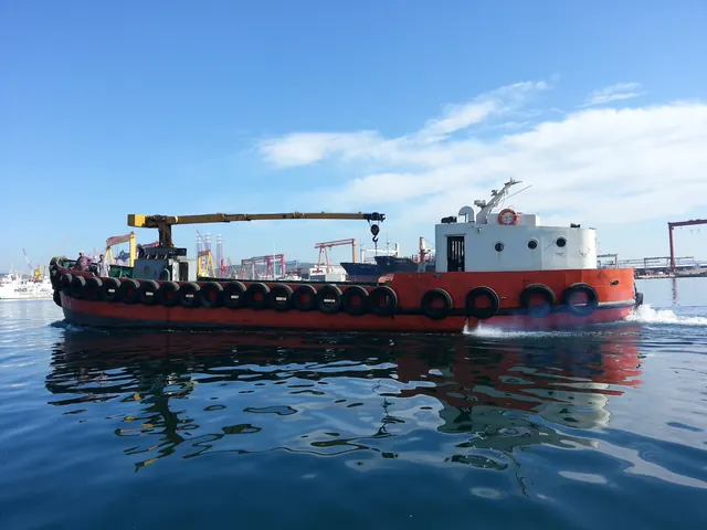 Delfin 10, Vinçli acente botu