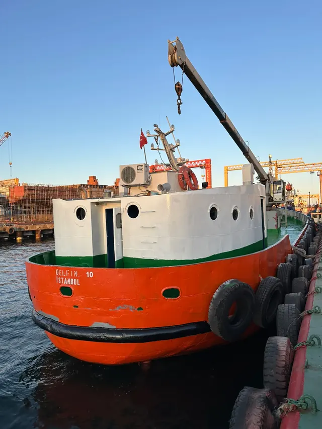 Delfin 10, fotoğraf 1