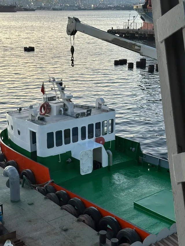 Delfin 10, fotoğraf 2