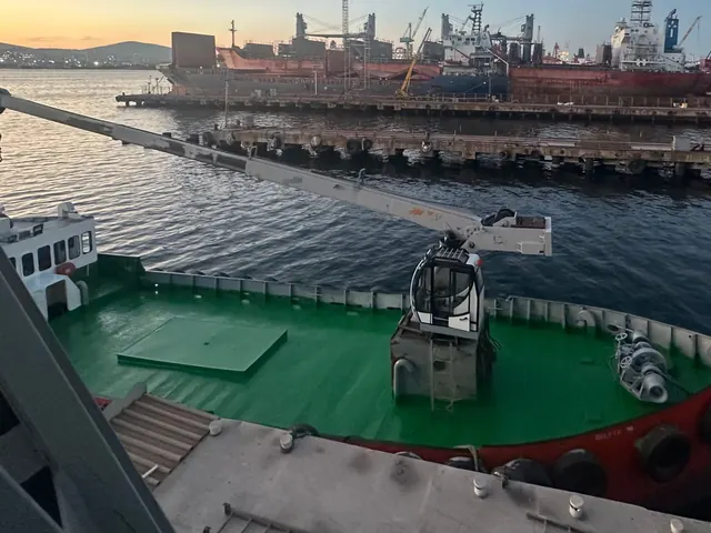 Delfin 10, fotoğraf 4