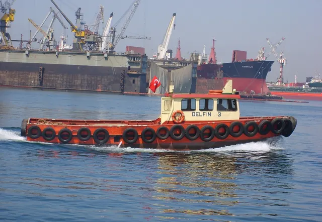 Delfin-3, Acente ve palamar botu