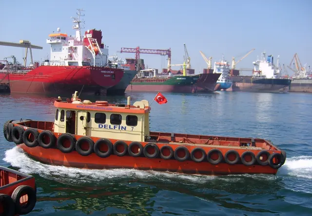 Delfin-7, Acente ve servis botu