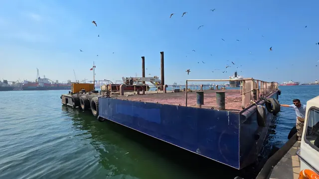 Delfin Duba, Düz güverteli duba
