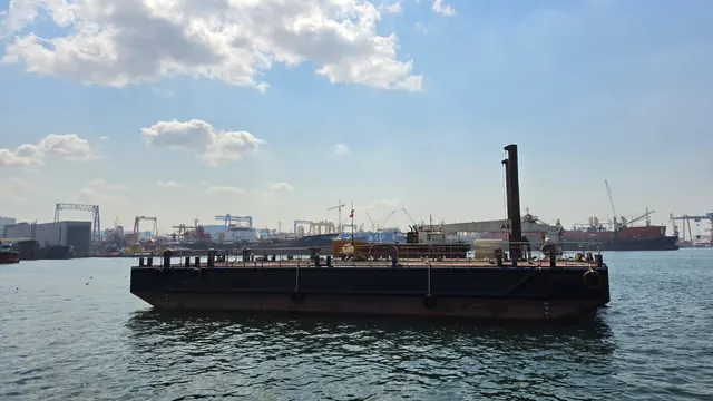 Delfin Duba, fotoğraf 2