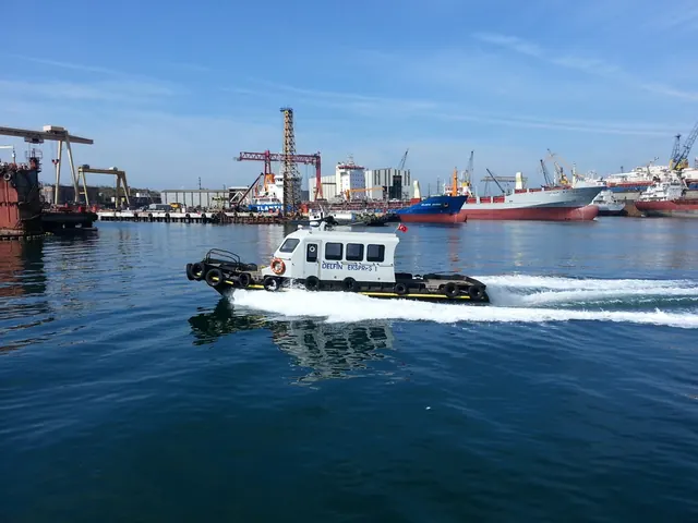 Delfin Ekspres 1, Acente botu