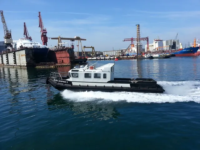 Delfin Ekspres 2, Acente botu