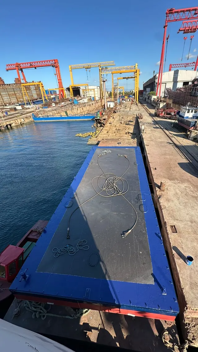 Delfin S, fotoğraf 2