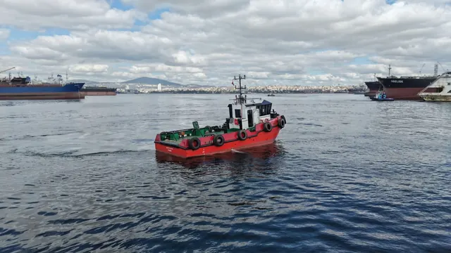 Delfin Salvor, fotoğraf 4