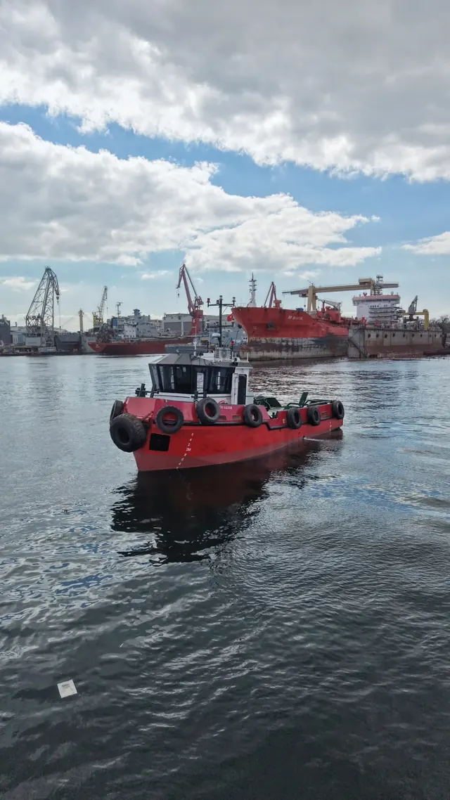 Delfin Salvor, fotoğraf 5