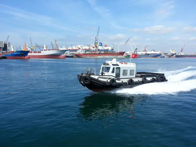 Doğanyurt Ekspres, Liman acente botu